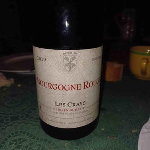 Clos des Vignes du Maynes - Julien Guillot - Les Crays