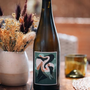 LES CYGNES - Domaine Modat - Quentin et Louis Modat -2019