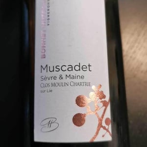 Les Dabinières - Domaine Bonnet-Huteau - Jean-Jacques Bonnet & Vincent Pineau 