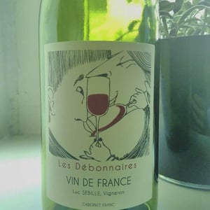Les Débonnaires (image 1) - Carroi Bon Air - luc-sebille
