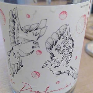 Les Deplumes - Fontaine Des Grives / Château Richard - leila-lare-benoit-perisse -2019