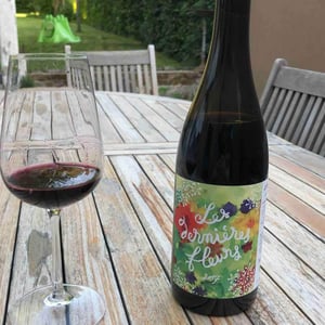 Les Dernières Fleurs - Chateau Brandeau - Julien Voogt 