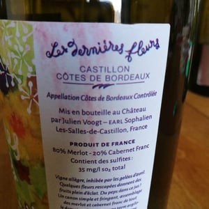 Les Dernières Fleurs - Chateau Brandeau - Julien Voogt 