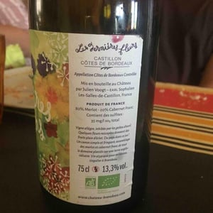 Les Dernières Fleurs - Chateau Brandeau - julien-voogt