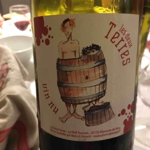 Les Deux Terres - Vincent Fargier & Emmanuel Cunin - Vin Nu Rouge