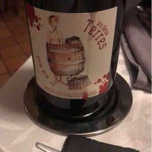 Les 2 terres - Domaine Des Cognettes - stephane-vincent-perraud
