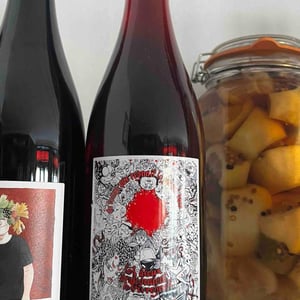 Les dieux protègent les ivrognes - Domaine des Romarins - Xavier & Benoit Fabre -2023