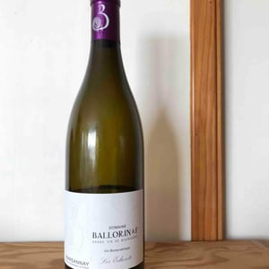 Les Echezots - Domaine Ballorin - Gilles Ballorin 
