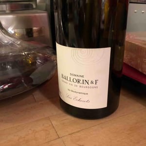 Echezots - Les Amoureux 2016