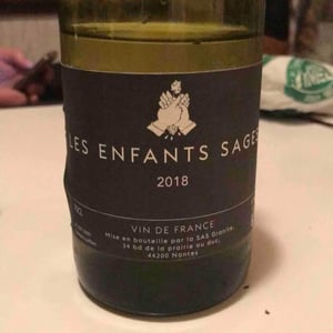 Les Enfants Sages - Bras de Fer Nantes - benjamin-nicolas-ferchaud