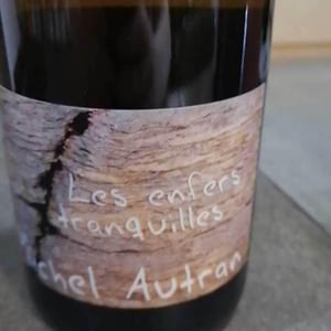 Les Enfers Tranquilles - Michel Autran - michel-autran