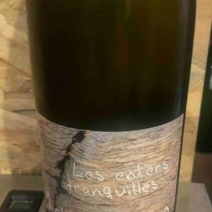 Les Enfers Tranquilles - Michel Autran - michel-autran