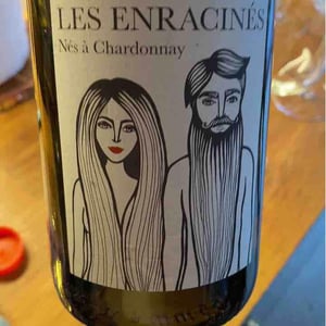 Nés A Chardonnay - Domaine Les Enracinés - gregory-barbet-et-yoan-pitoiset -2020