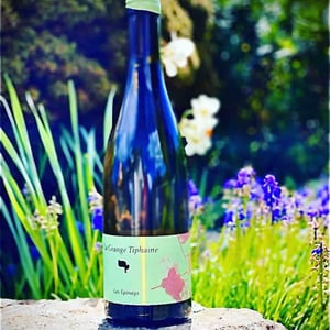 Les Epinays - La Grange Tiphaine - coralie-damien-delecheneau