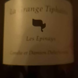 Les Epinays - La Grange Tiphaine - coralie-damien-delecheneau