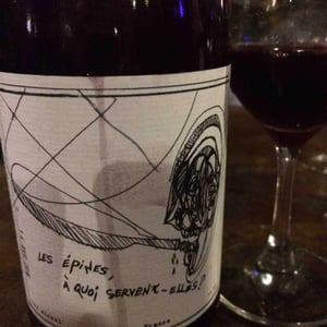 Les Épines À Quoi Servent Elles ? 2015
