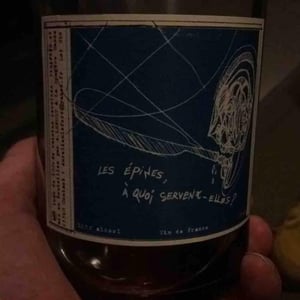 Les Épines À Quoi Servent Elles ? 2018