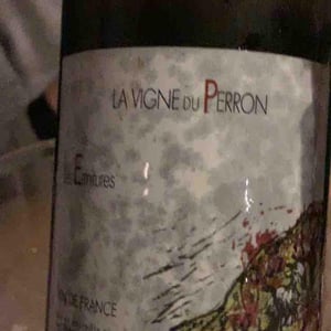 Les Ermitures - Domaine du Perron - La Vigne du Perron - François Grinand 