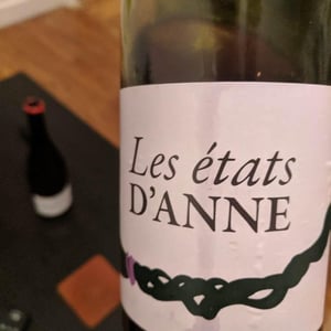 Les Etats d'Anne - Autour de l'Anne - Anne Leclerc Paillet 