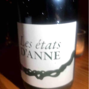 Les Etats d'Anne - Autour de l'Anne - Anne Leclerc Paillet 
