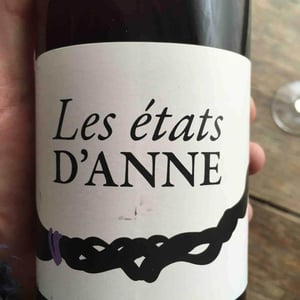 Les Etats d'Anne - Autour de l'Anne - anne-leclerc-paillet