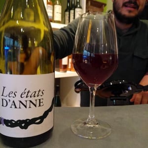 Les Etats d'Anne - Autour de l'Anne - Anne Leclerc Paillet 