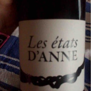 Les Etats d'Anne - Autour de l'Anne - Anne Leclerc Paillet 