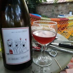 Les Fanfans S'Amusent - Domaine Ganevat - Anne & Jean-François Ganevat 