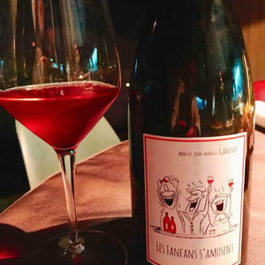 Domaine Ganevat - Anne & Jean-François Ganevat - Les Fanfans S'Amusent