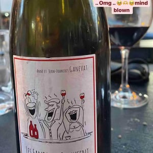 Les Fanfans S'Amusent - Domaine Ganevat - Anne & Jean-François Ganevat 