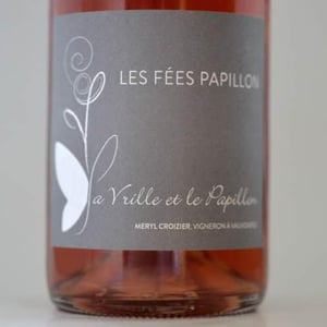 Les Fées Papillon - La Vrille et le Papillon - Géraldine & Méryl Croizier 