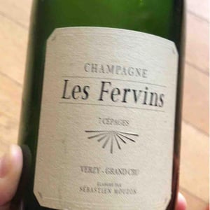 Les Fervins (Brut Nature) - Champagne Mouzon Leroux - Sébastien Mouzon -2016