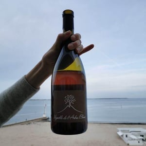 Les Fesses - Domaine de l'Arbre Blanc - frederic-gounan