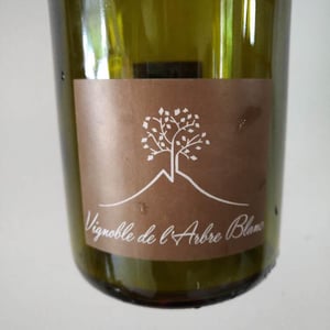 Domaine de l'Arbre Blanc - Frédéric Gounan - Les Fesses