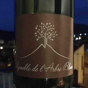 Les Fesses - Domaine de l'Arbre Blanc - frederic-gounan
