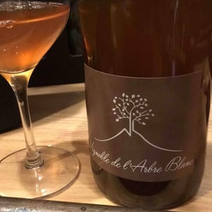 Domaine de l'Arbre Blanc - Frédéric Gounan - Les Fesses