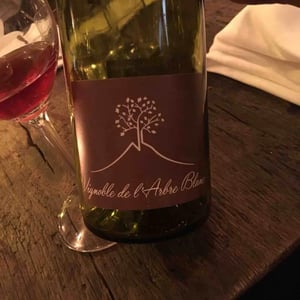 Domaine de l'Arbre Blanc - Frédéric Gounan - Les Fesses