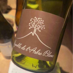 Domaine de l'Arbre Blanc - Frédéric Gounan - Les Fesses