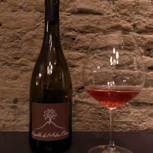 Domaine de l'Arbre Blanc - Frédéric Gounan - Les Fesses