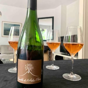 Domaine de l'Arbre Blanc - Frédéric Gounan - Les Fesses