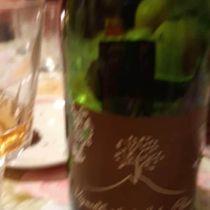 Les Fesses - Domaine de l'Arbre Blanc - frederic-gounan