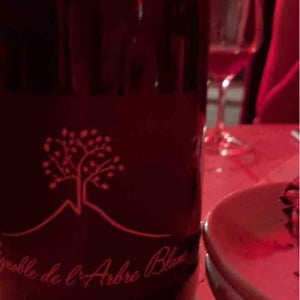 Domaine de l'Arbre Blanc - Frédéric Gounan - Les Fesses