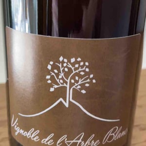 Les Fesses - Domaine de l'Arbre Blanc - frederic-gounan