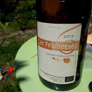 Les Feuillettes - Domaine de Mirebeau - bruno-rochard