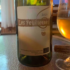 Les Feuillettes - Domaine de Mirebeau - Bruno Rochard 