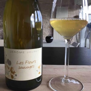 Les Fleurs Sauvages - Jérome Jouret - jerome-jouret