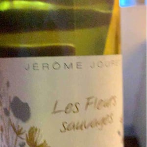 Jérome Jouret - Jérôme Jouret - Les Fleurs Sauvages