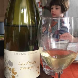 Les Fleurs Sauvages - Jérome Jouret - Jérôme Jouret 