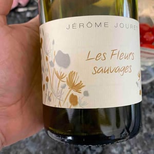 Jérome Jouret - Jérôme Jouret - Les Fleurs Sauvages