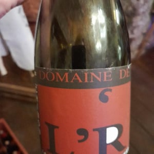 Les Folies du Noyer Vert - Domaine de l'R - frederic-sigonneau